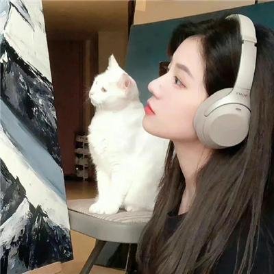 卡普兰先生