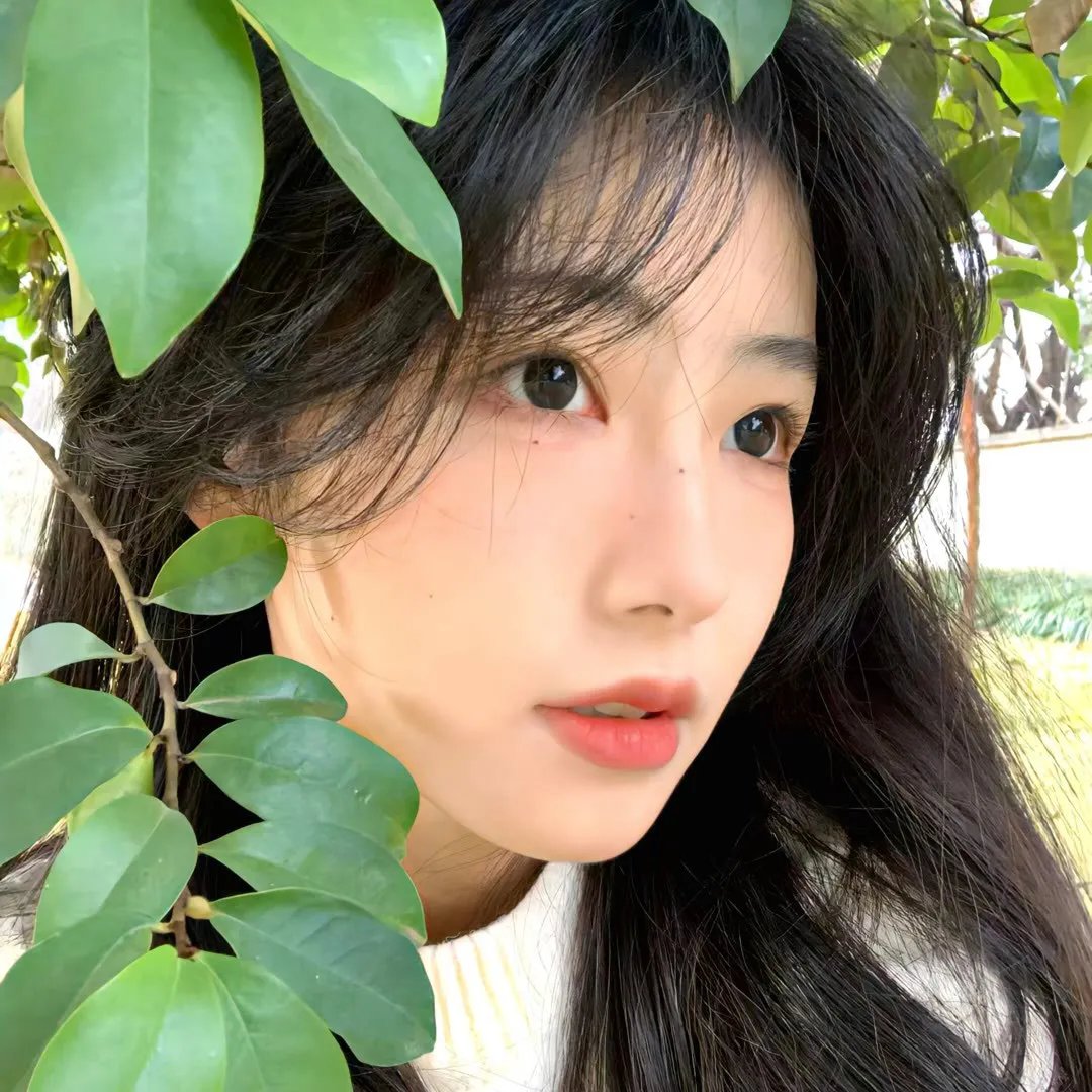 淑女之家
